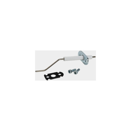 Electrode d'ionisation